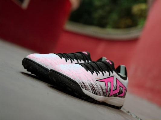 Zebra Flash · A New Cycle Begins